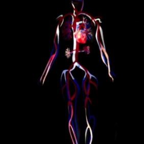 mabel-octobre-corps-de-femme-3-les-haltères-30